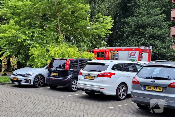 Grote tak valt uit boom op auto