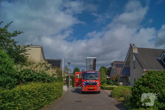Brandweer ingezet voor vastzittende kraai