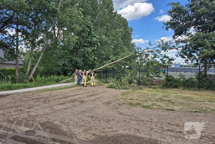 Brandweer verwijdert omgevallen boom