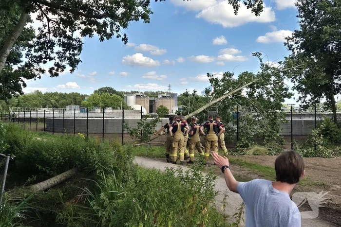 Brandweer verwijdert omgevallen boom