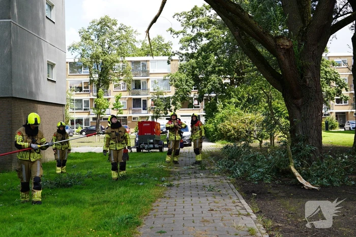 Grote tak breekt af en komt boven voetpad te hangen