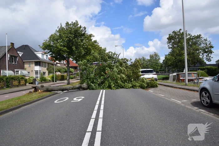 natuur dijkweg naaldwijk