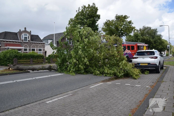 Grote boom belandt op weg tijdens storm