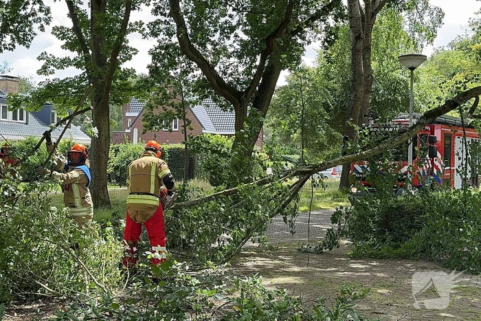 natuur waaldrift rockanje