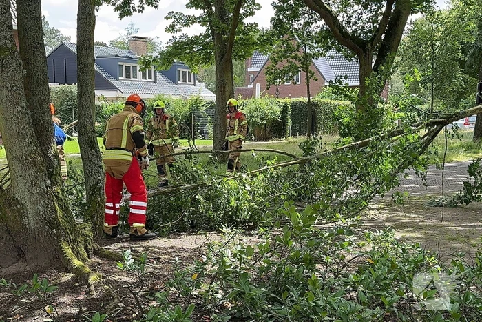 Brandweer ingezet voor afgebroken tak