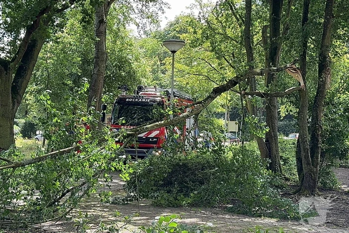 Brandweer ingezet voor afgebroken tak