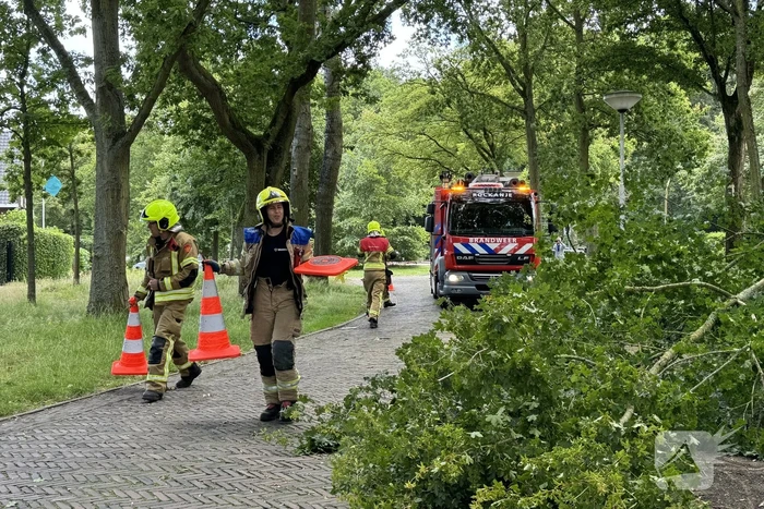 Brandweer ingezet voor afgebroken tak