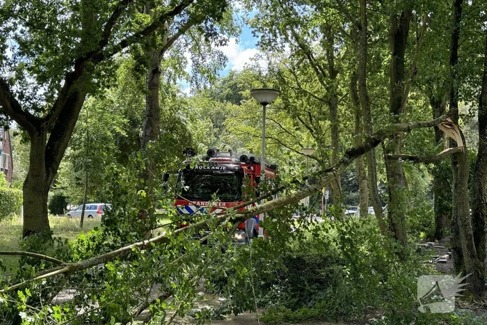 Brandweer ingezet voor afgebroken tak