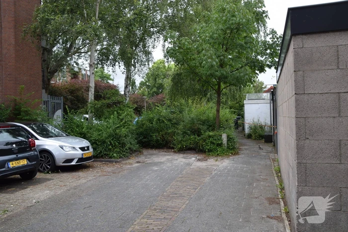natuur stokdijkhof naaldwijk