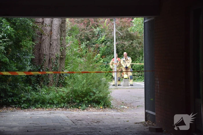 Grote boom dreigt om te vallen door storm