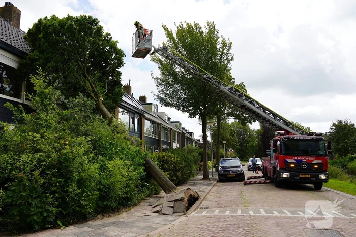 natuur willem de zwijgerlaan leiderdorp