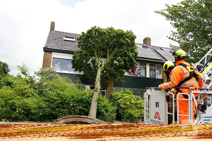 Boom valt tegen woning