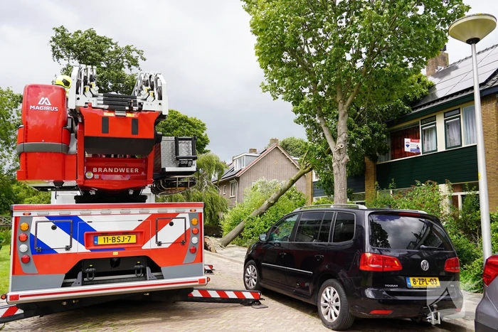 Boom valt tegen woning