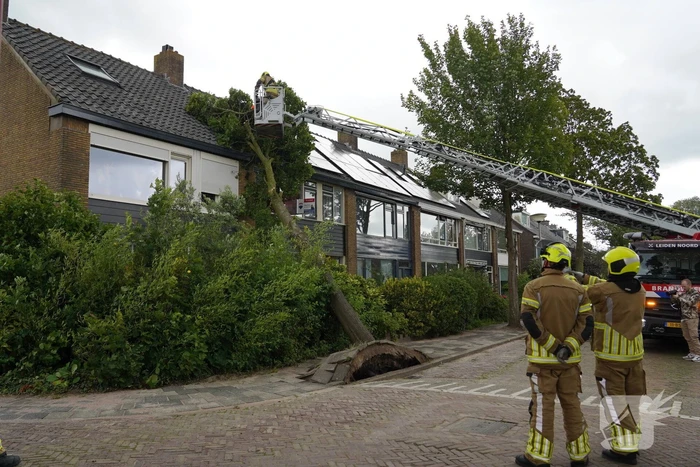Boom valt tegen woning