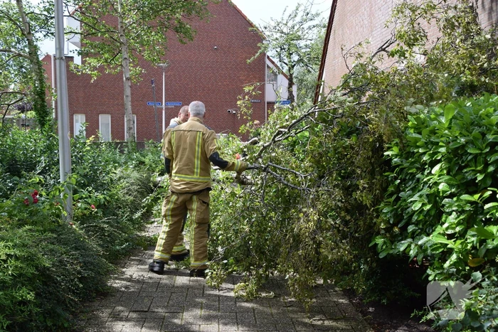 Boom waait tegen woning