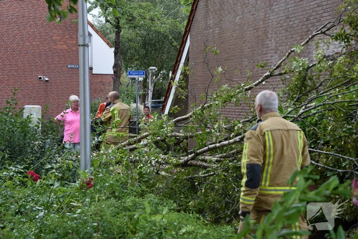 Boom waait tegen woning