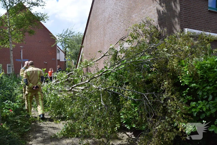 Boom waait tegen woning