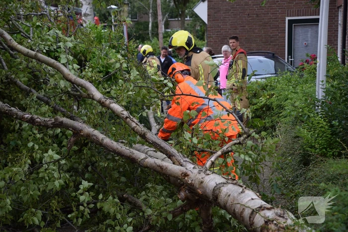 Boom waait tegen woning