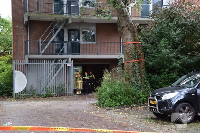 Boom waait tegen woning