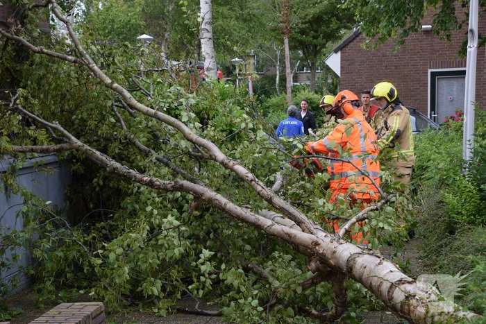 Boom waait tegen woning