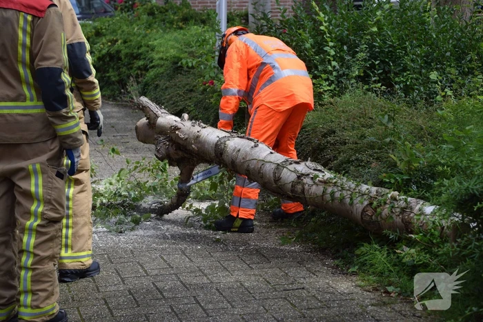 Boom waait tegen woning
