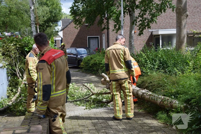 Boom waait tegen woning