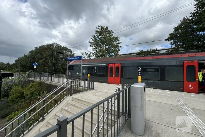 Treinverkeer plat door boom op spoor