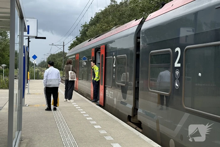 Treinverkeer plat door boom op spoor