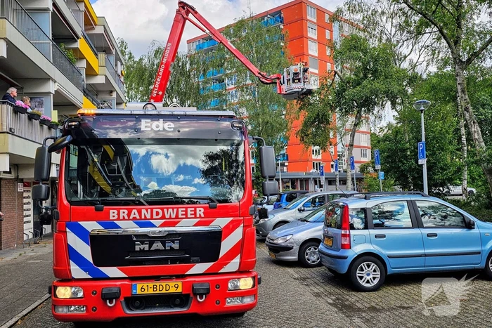 natuur weerdestein ede