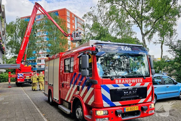 Brandweer zaagt gevaarlijk loshangende tak uit boom