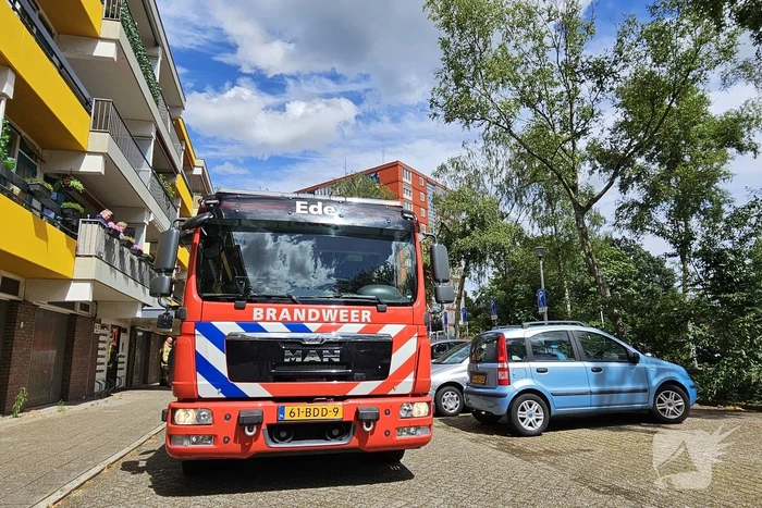 Brandweer zaagt gevaarlijk loshangende tak uit boom