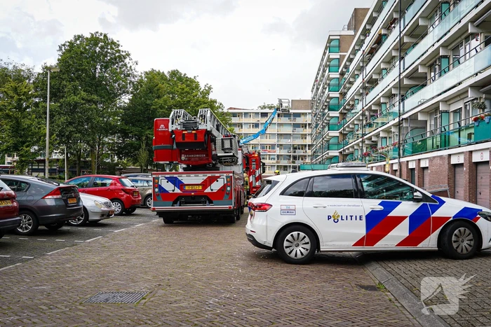 natuur merelstraat leiderdorp
