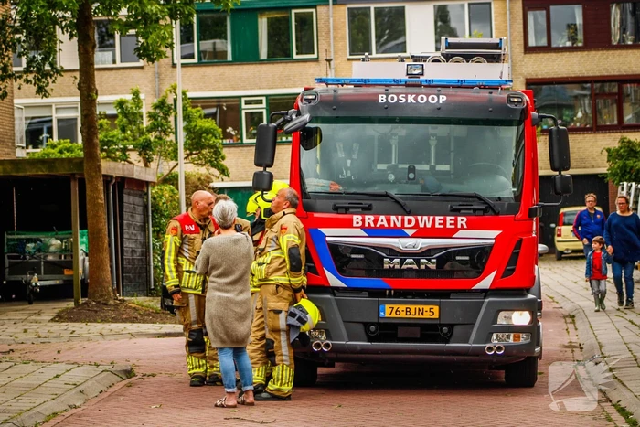 natuur kievitstraat boskoop