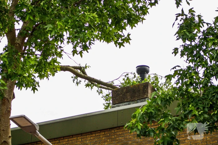 Brandweer verwijdert losgewaaide tak van dak