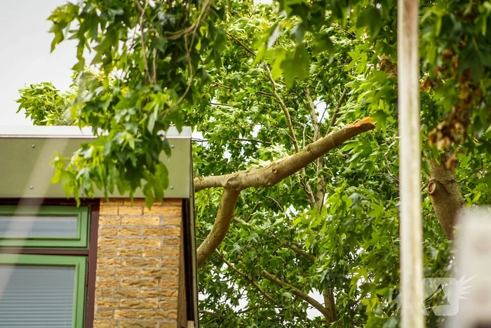 Brandweer verwijdert losgewaaide tak van dak