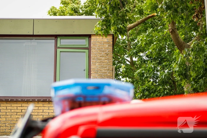 Brandweer verwijdert losgewaaide tak van dak
