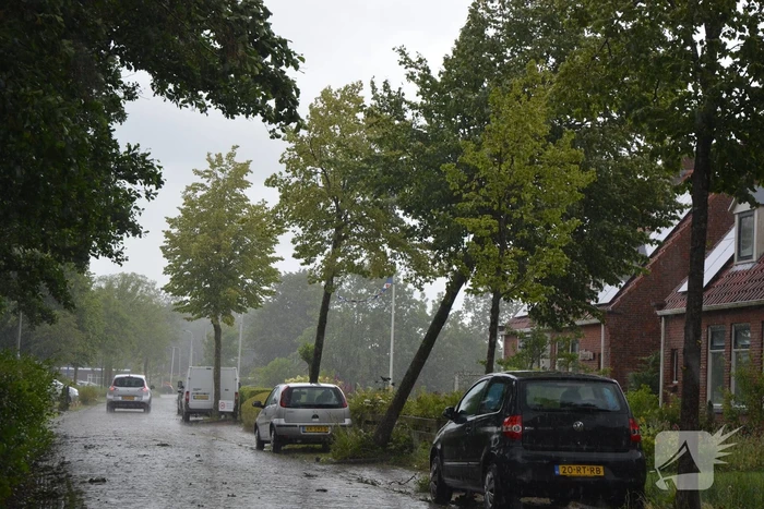 Boom dreigt om te vallen