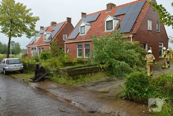 Boom dreigt om te vallen