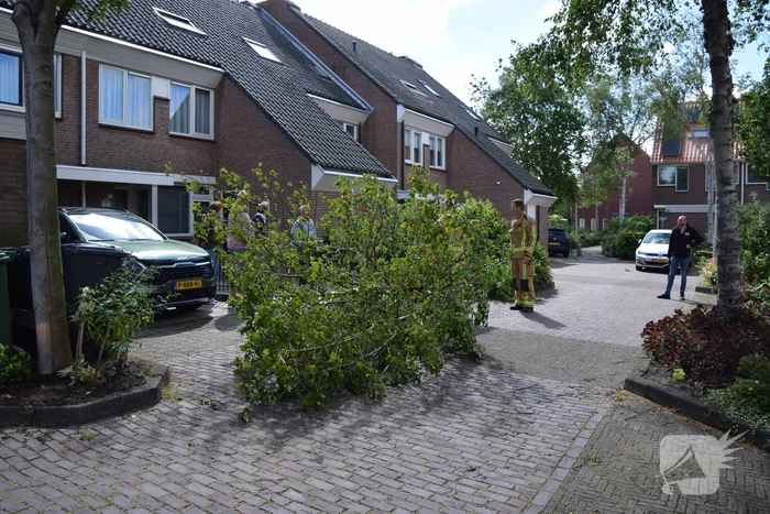 Brandweer zaagt omgevallen boom in stukken