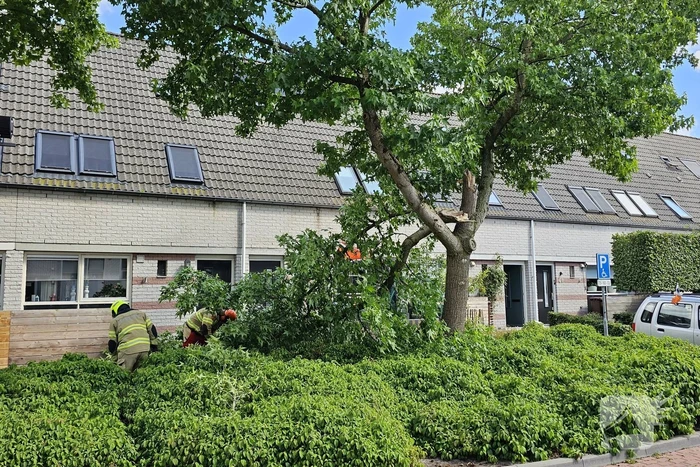 Brandweer zaagt afgewaaide tak in stukken