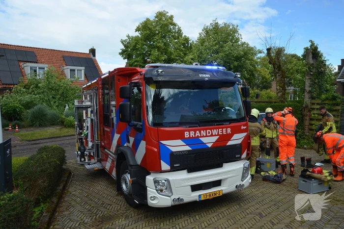 natuur kakewei stiens
