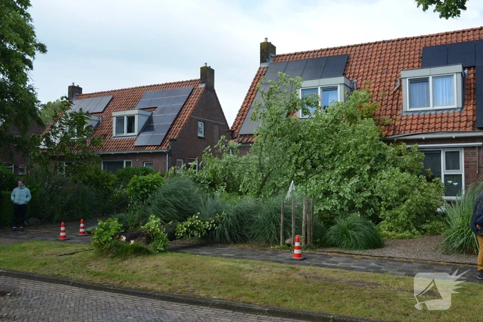 Omgewaaide boom valt tegen woning