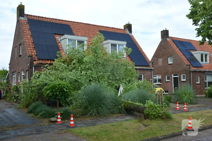 Omgewaaide boom valt tegen woning