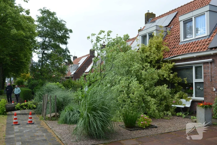 Omgewaaide boom valt tegen woning