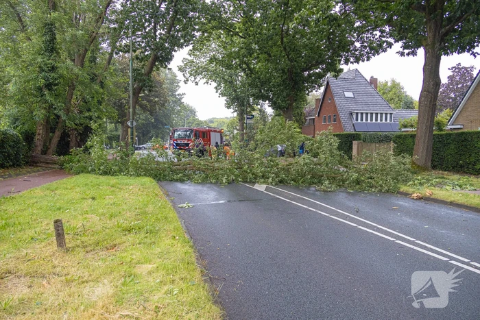 natuur crailoseweg - n527 huizen