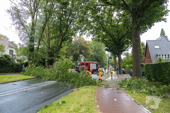 Boom belandt op provinciale weg
