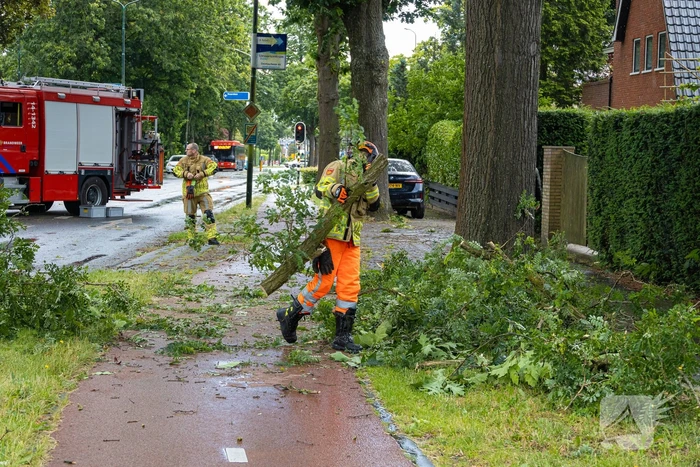 Boom belandt op provinciale weg