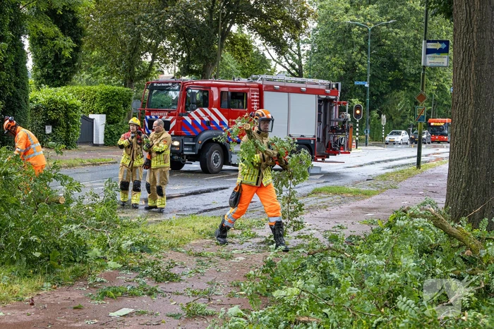 Boom belandt op provinciale weg