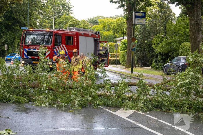 Boom belandt op provinciale weg