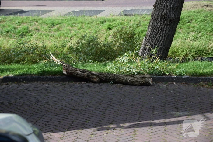 Brandweer verwijdert gevaarlijk hangende tak